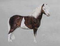 Pony in Pastellkreide 55x75
